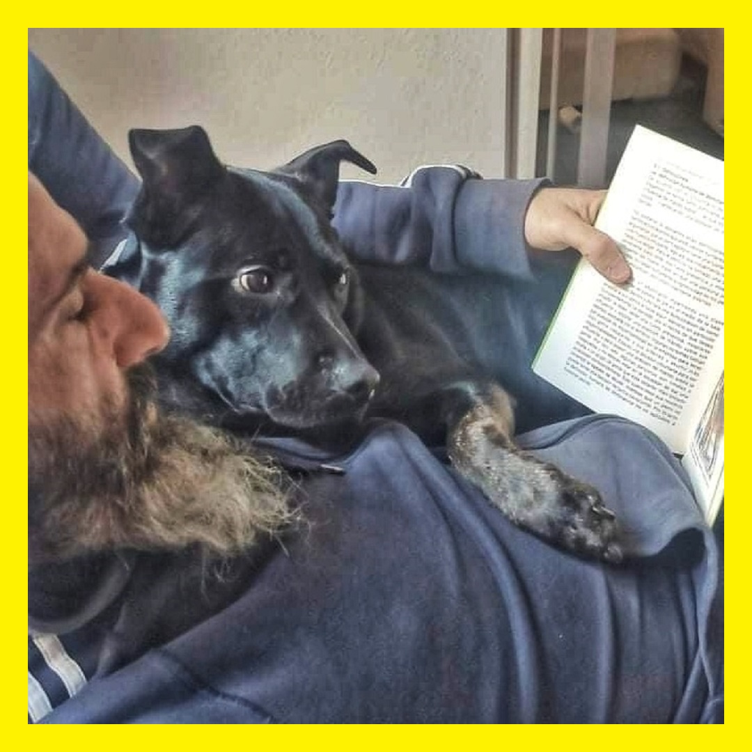#02-16 – Pongamos que Hablo de ‘Educación Canina Amable y Juguetes Rotos’ con Sergio García Guerra de vadperros (ES)