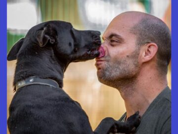 #04-25 – Pongamos que Hablo de ‘Perros de Refugio’ con Alberto Piña de Fundación Benjamin Mehnert (ES)